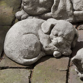 Photo of Campania Curled Dog Small - Exclusively Campania